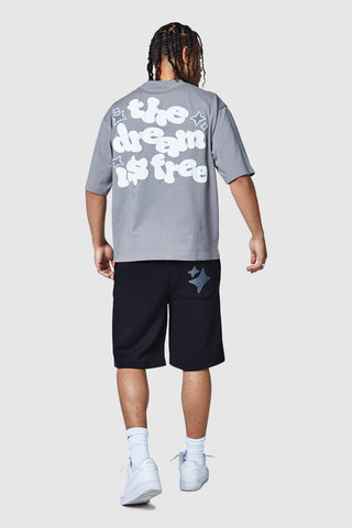 Dream Is Free 2.0 Tee - Steel