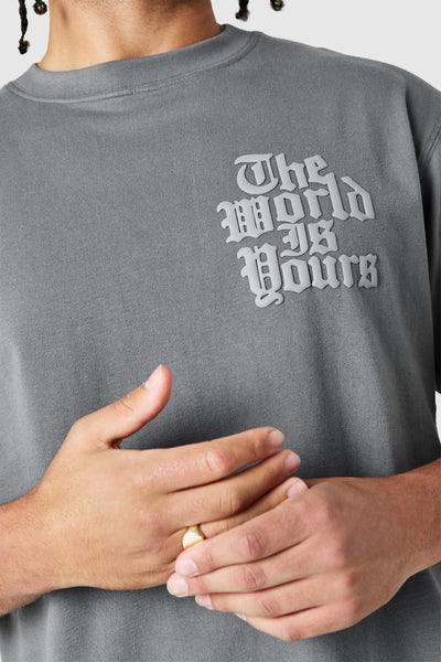World Is Yours 3.0 Tee - Charcoal Smoke